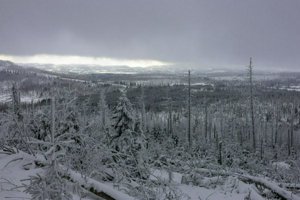 IMG_2586.jpg