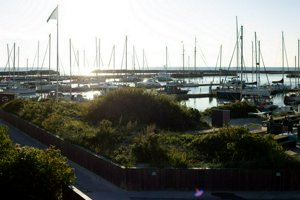 IMG_7388.jpg