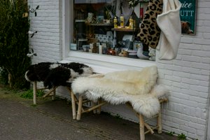 IMG_9621.jpg