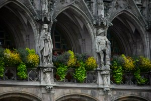 IMG_5017.jpg