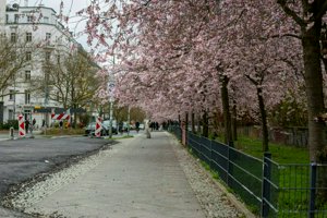 IMG_8538.jpg