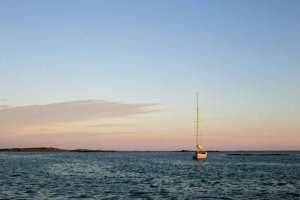 IMG_7286.jpg