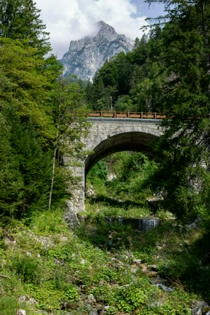 IMG_6514.jpg