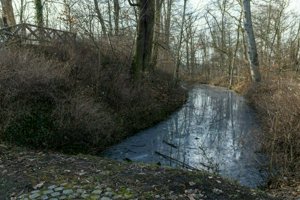 IMG_4013.jpg
