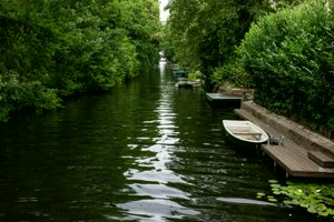 IMG_6251.jpg