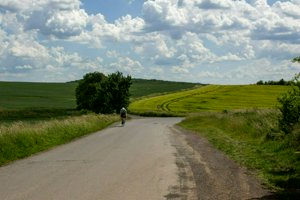 IMG_9478.jpg