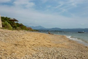 IMG_3319.jpg