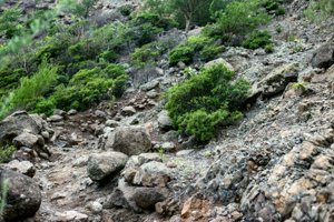 IMG_5419.jpg