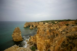 IMG_6771.jpg