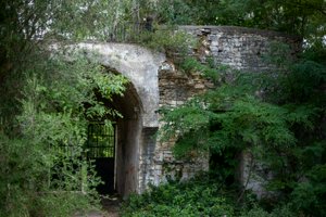 IMG_3232.jpg
