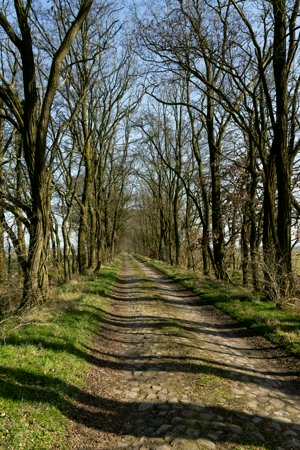 IMG_8514.jpg