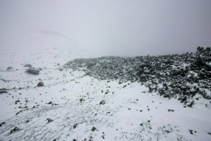 IMG_0171.jpg