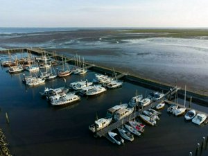 DJI_0558.jpg