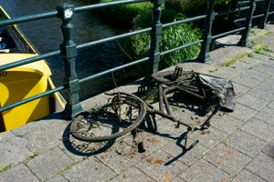 IMG_2183.jpg