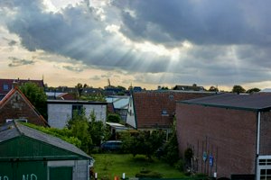 IMG_2781.jpg