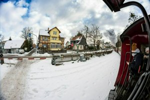 IMG_2397.jpg