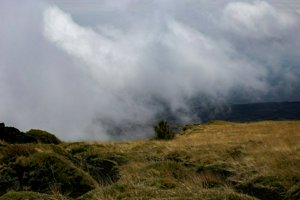 IMG_9355.jpg