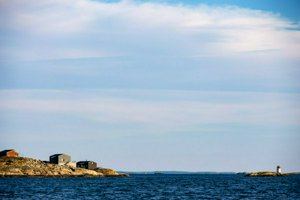 IMG_7219.jpg