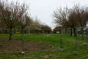 IMG_9712.jpg