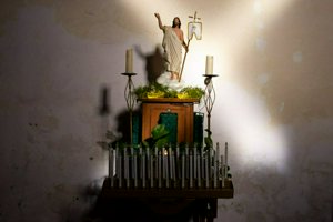 IMG_9202.jpg