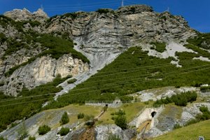 IMG_1453.jpg