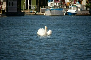 IMG_7139.jpg