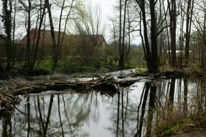 IMG_8068.jpg