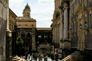IMG_0420.jpg