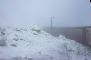 IMG_1309.jpg