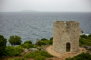 IMG_4174.jpg