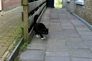 IMG_2336.jpg