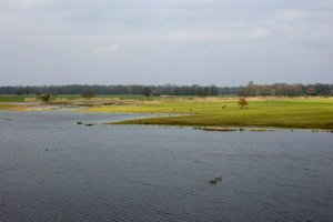 IMG_7236.jpg