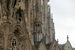IMG_9435.jpg