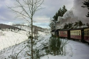 IMG_2450.jpg