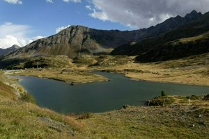 IMG_0862.jpg