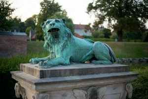 IMG_8201.jpg