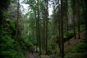 IMG_1766.jpg