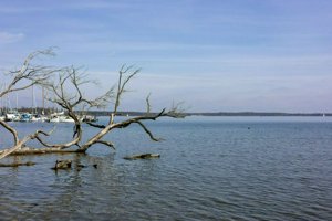 IMG_9719.jpg
