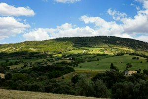 IMG_9977.jpg