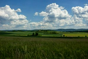 IMG_9438.jpg