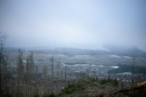 IMG_1458.jpg