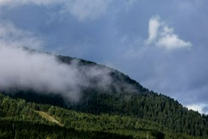 IMG_0882.jpg