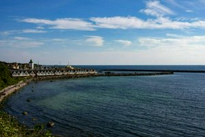 IMG_3572.jpg