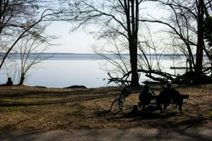 IMG_1101.jpg