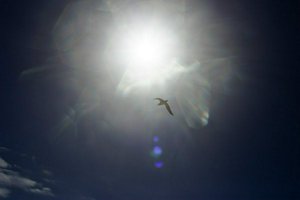 IMG_7902.jpg