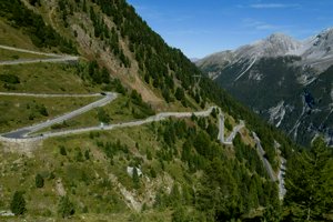 IMG_1800.jpg