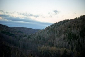 IMG_1545.jpg