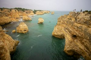 IMG_6715.jpg