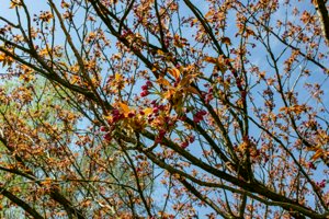 IMG_5631.jpg