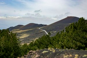 IMG_9328.jpg